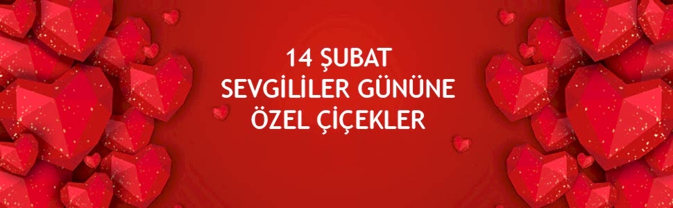 14 Şubat